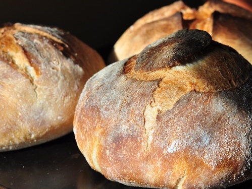 When power is tempting (Matthew&nbsp;4:2-4)