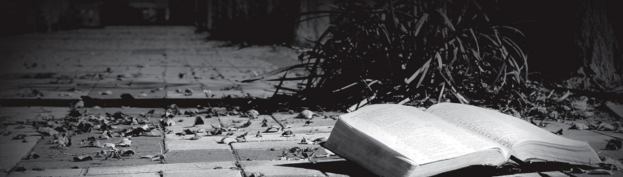 Free course: Jesus, Liberator and&nbsp;King