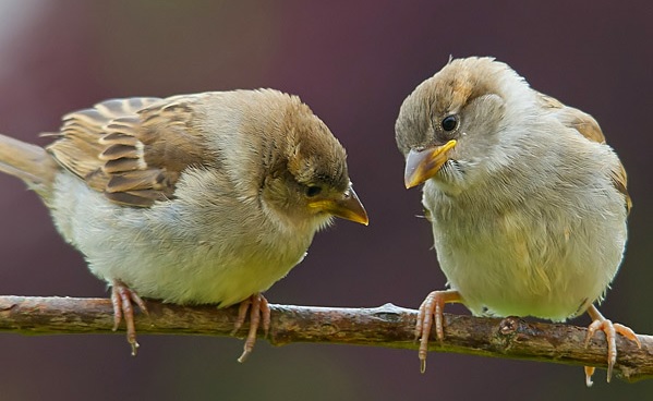 Where’s God’s justice in an unjust world? (Matthew&nbsp;10:26-31)