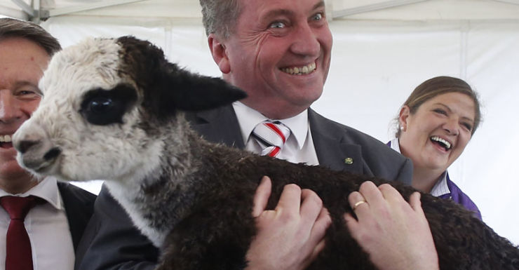 Where’s your allegiance? (Matthew&nbsp;10:32-33)