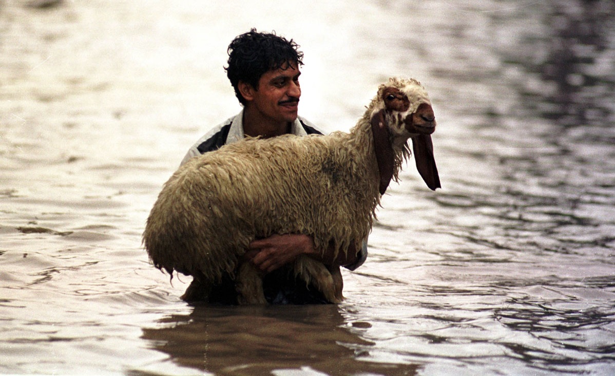 The message of Jesus’ miracles (Matthew&nbsp;12:9-13)