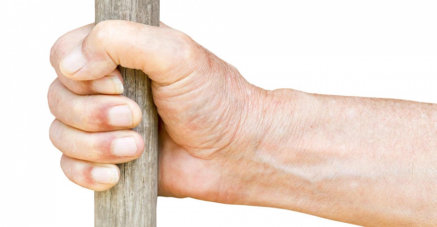 Who establishes God’s kingdom? (Exodus&nbsp;4:1-12)