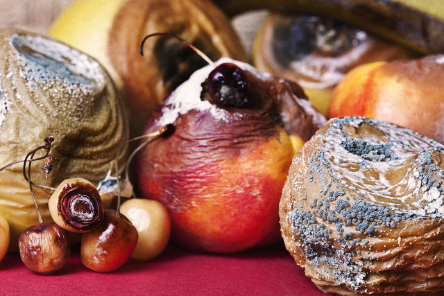 How human rule goes bad (Exodus&nbsp;1:1-11)