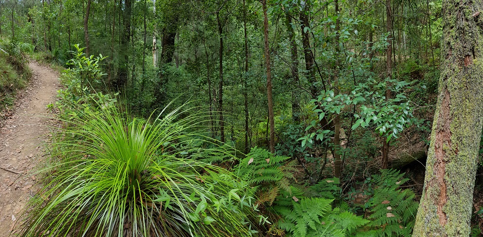 Earth as God’s&nbsp;kingdom