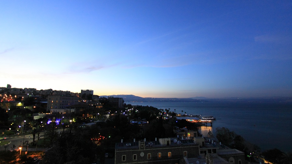 What is the&nbsp;kingdom?