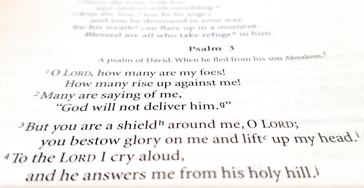 How to read&nbsp;Psalms