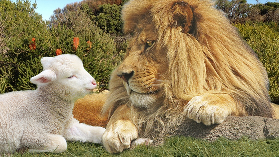 Original kingdom, or original sin? (Matthew&nbsp;19:14)