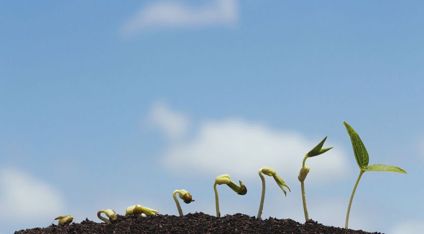 The gospel call (Ephesians&nbsp;5:14-20)