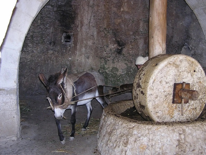 Don’t fall for repaying evil with evil (Matthew&nbsp;18:6)