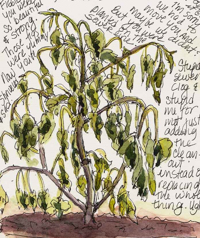 The end of unfruitfulness (Matthew 21&nbsp;:17-22)