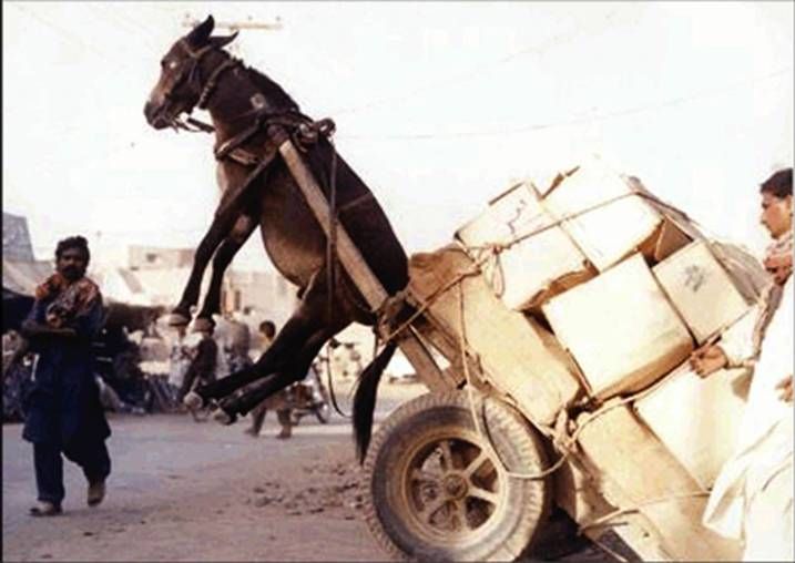 Leadership is supporting people, not social climbing (Matthew&nbsp;23:1-12)