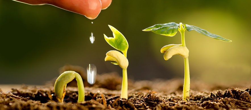 Farming frustration and harvesting hope (Matthew&nbsp;13:18-23)