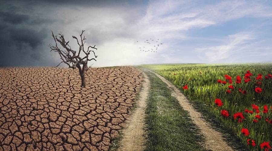 David’s final Psalm: restored nation&nbsp;(145:1–8)