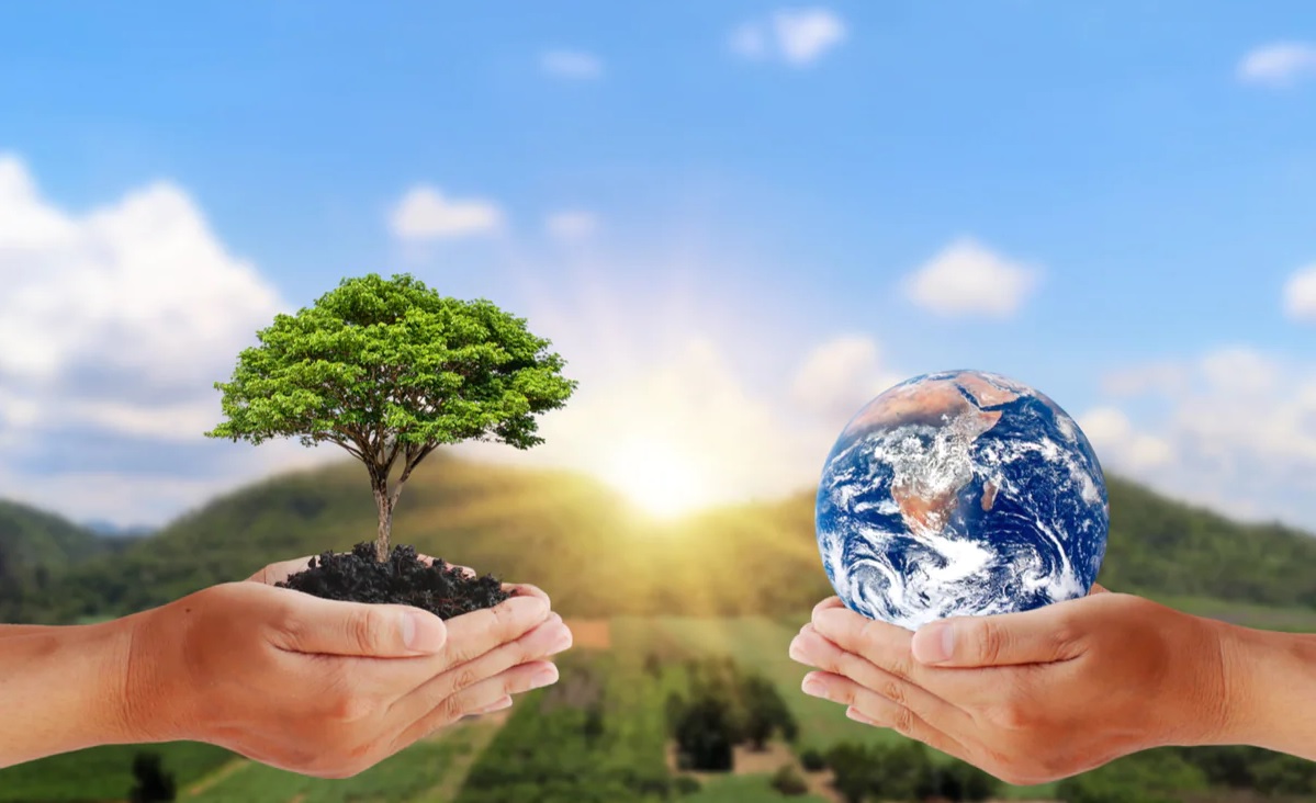 David’s final Psalm: restored world&nbsp;(145:9–16)