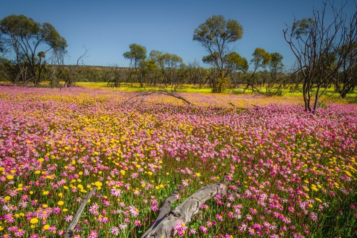 The kingdom as Father’s gift (Luke&nbsp;12:32)