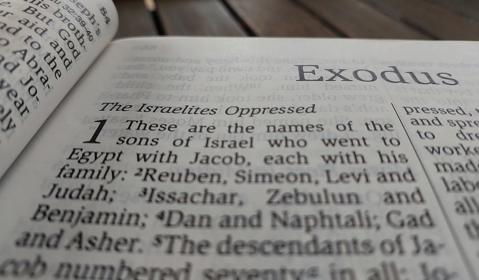Formed in God’s story:&nbsp;Exodus