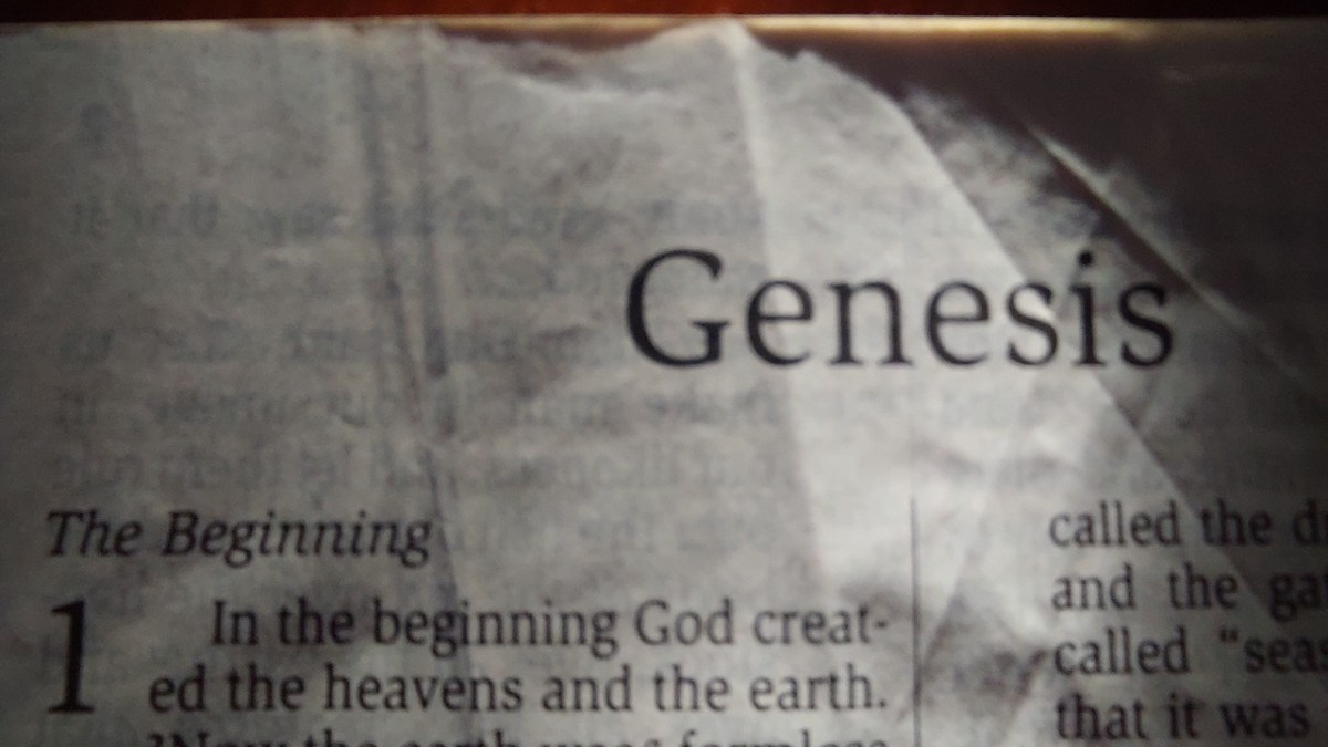 Formed in God’s story:&nbsp;Genesis