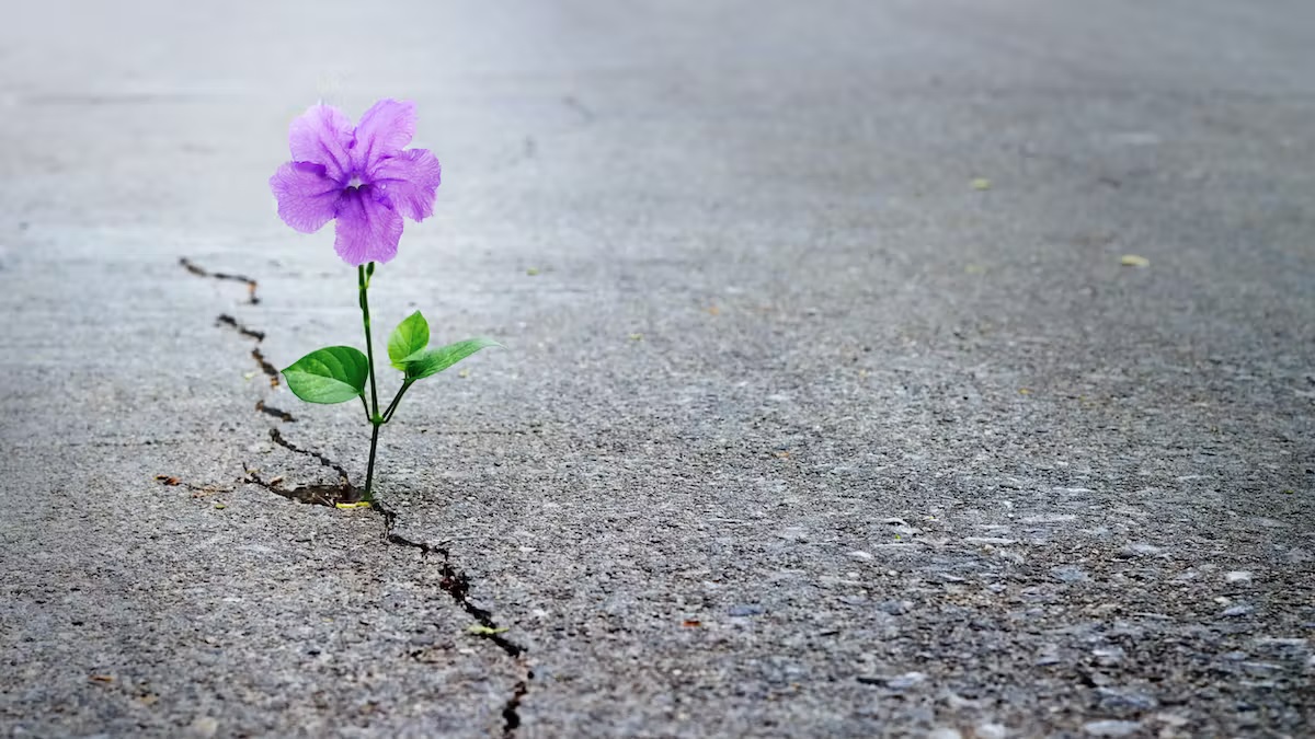 What faith expects (Hebrews&nbsp;11:1–3)