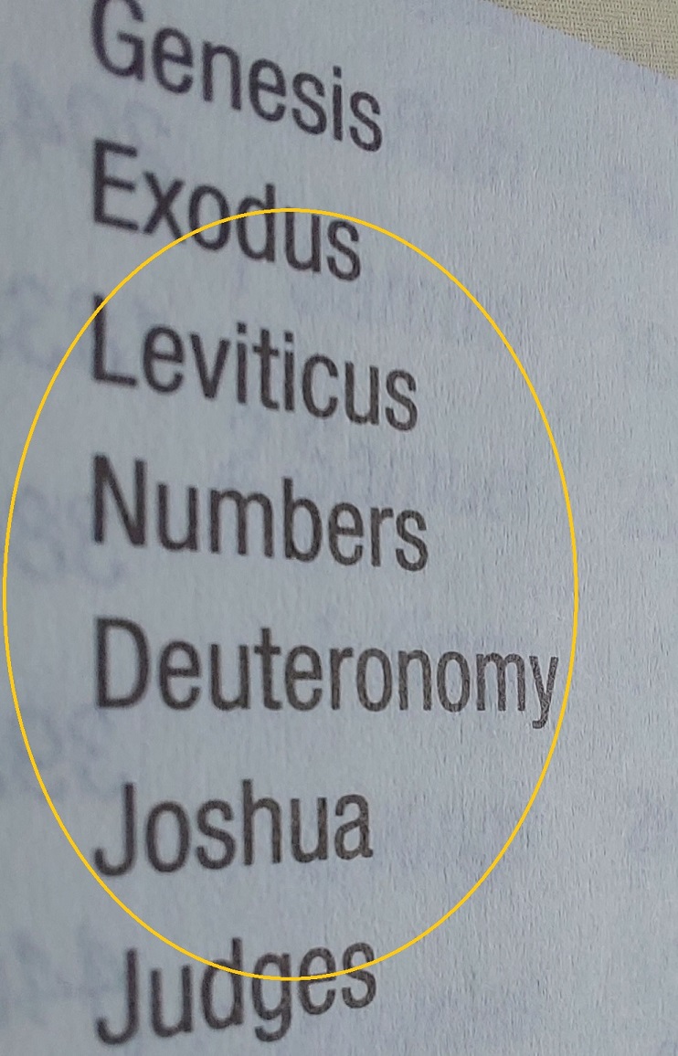 Formed in God’s story: Leviticus –&nbsp;Joshua